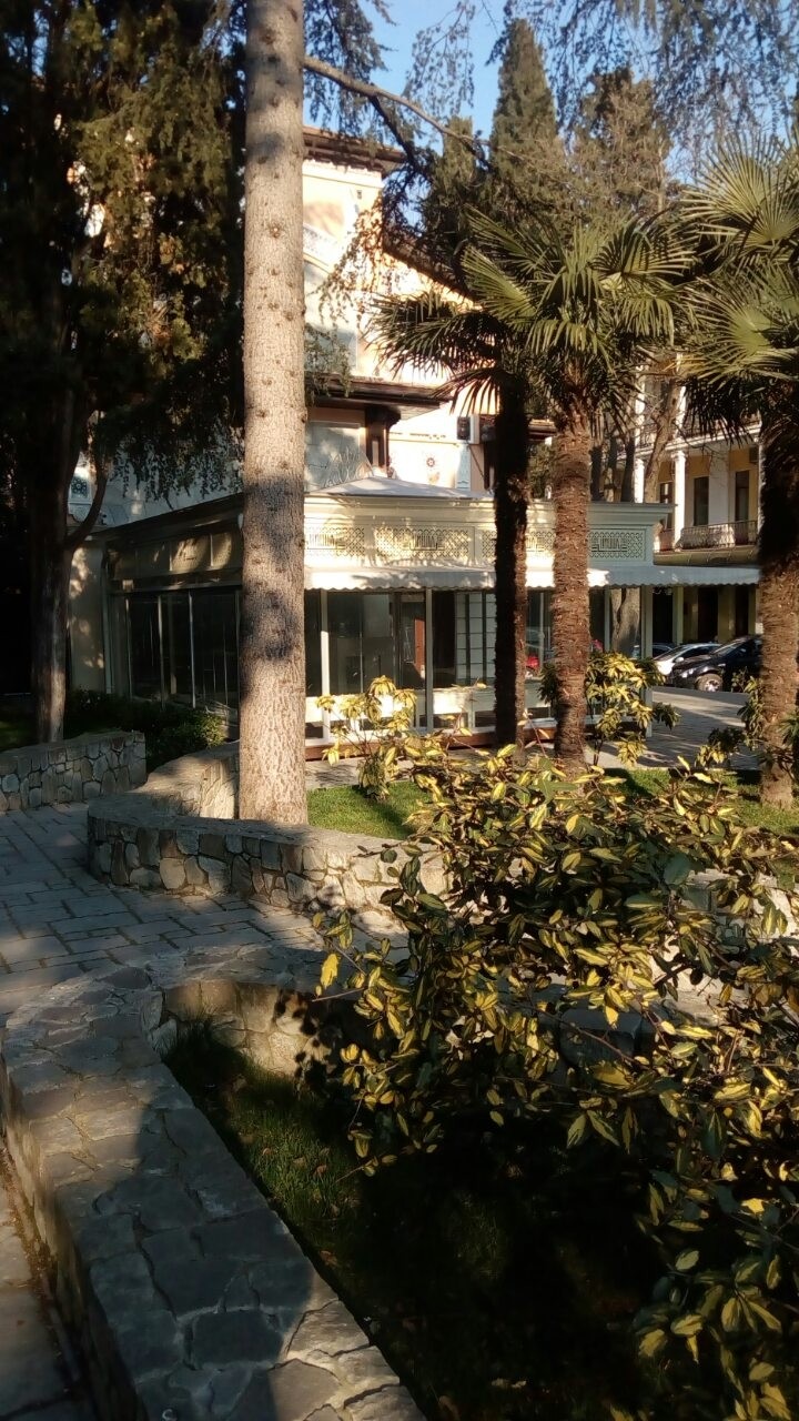 buildings and trees