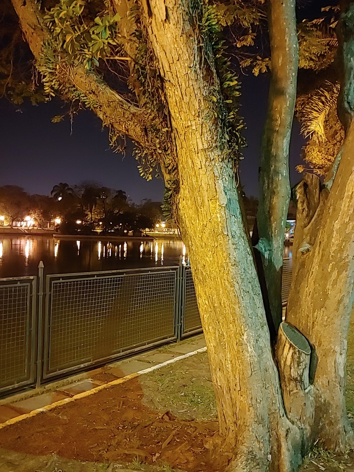 Lago dos Patos 3