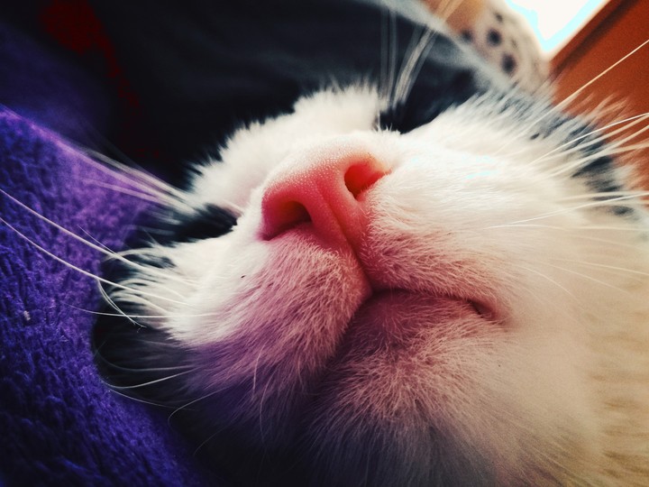Sleeping beauty