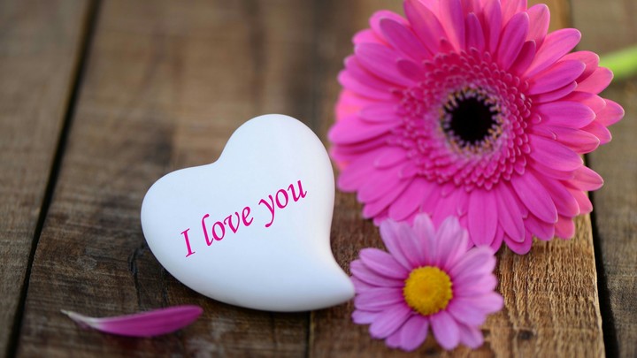 love flower and heart wallpaper