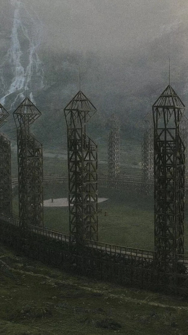 the qudditch field