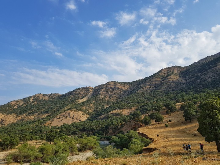 nature