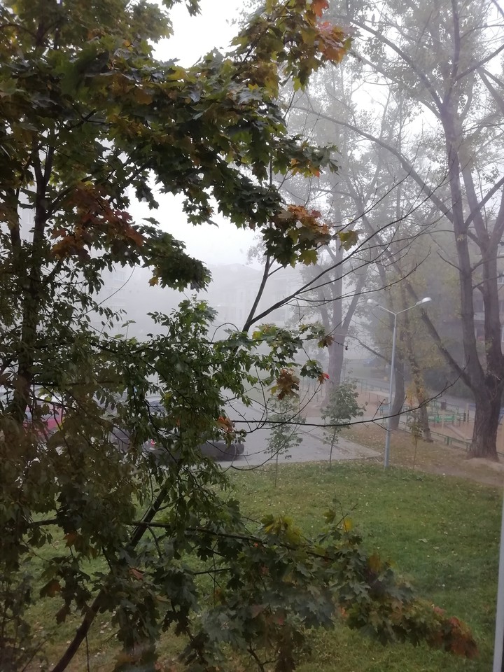 fog