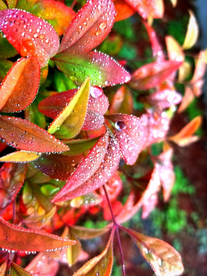 Vibrating Colors