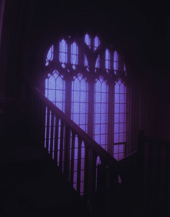 ᴅ ᴀ ʀ ᴋ ɴ ᴇ s s