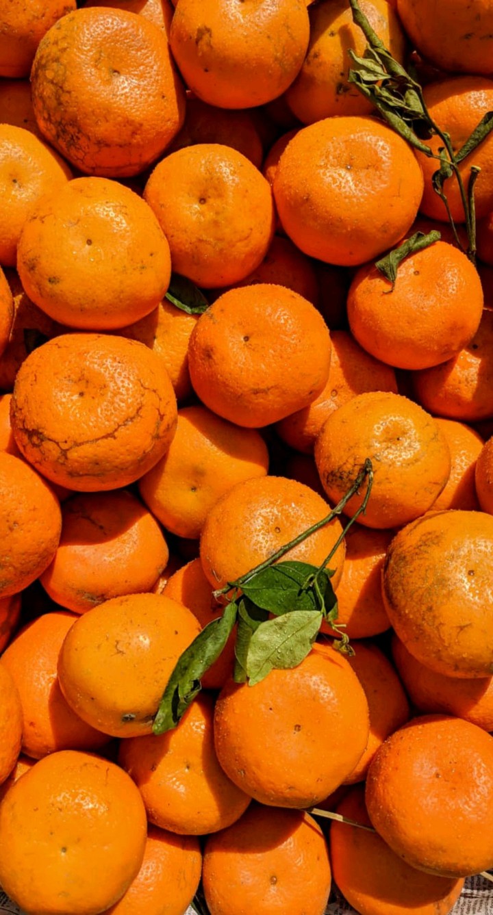 Orange photography