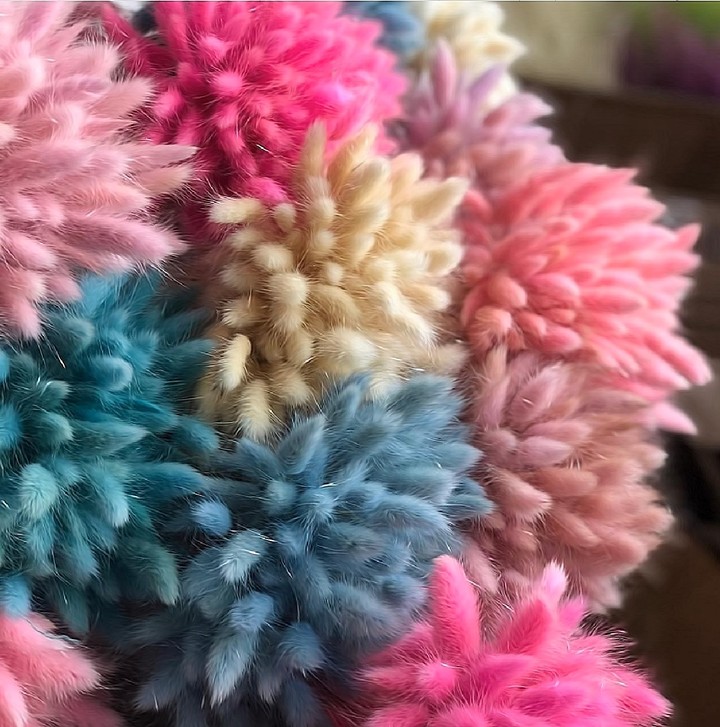 colors