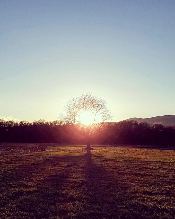sunset