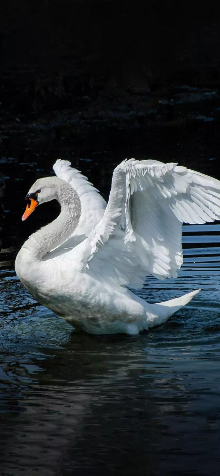 S.M.