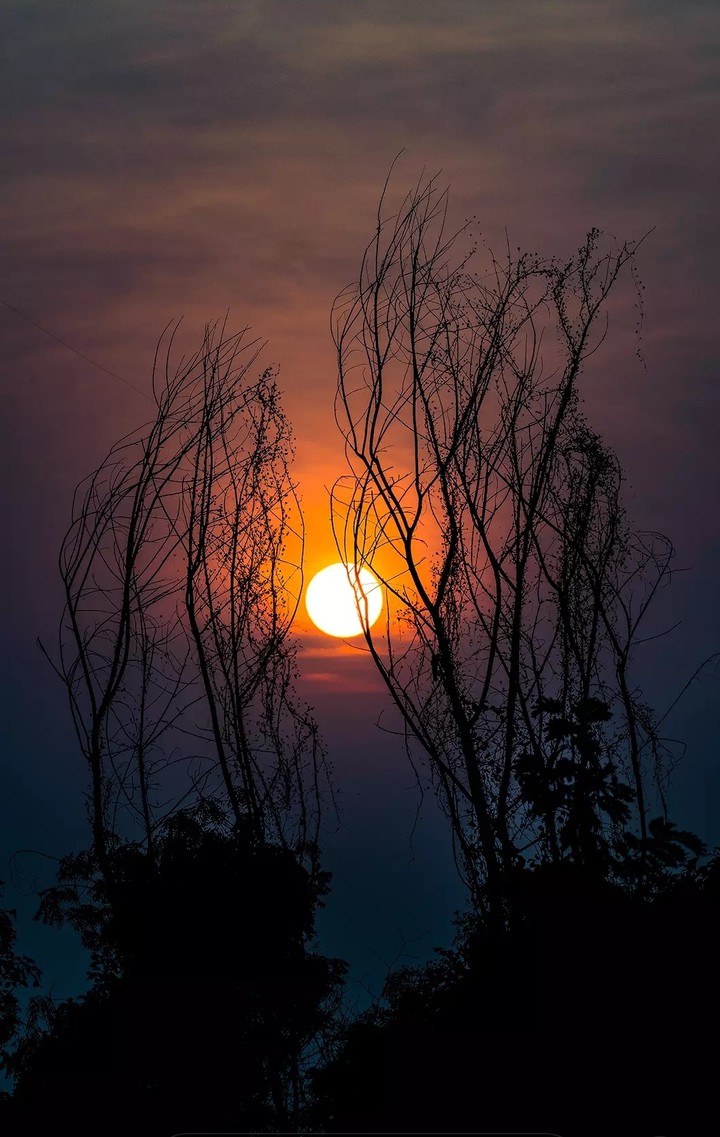 sunset city