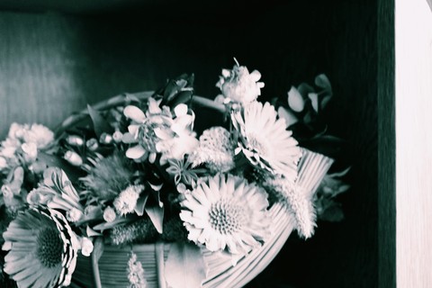 very crayz photo (very nice or ok)