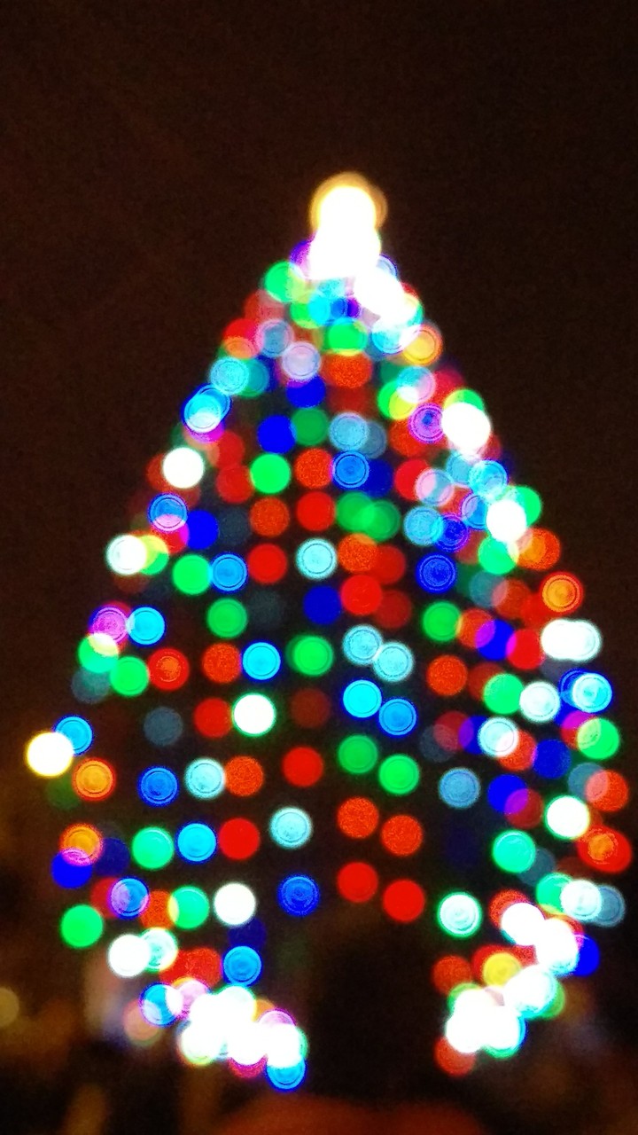Christmas Tree