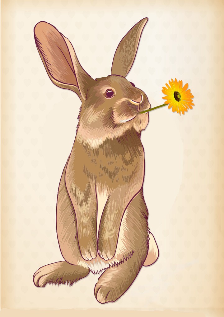 bunny