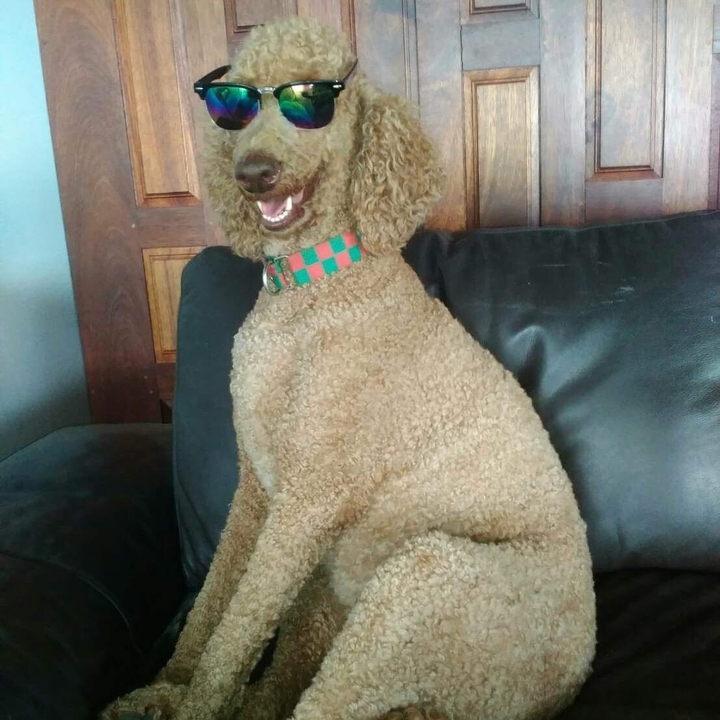 hi guys my name is Croissant