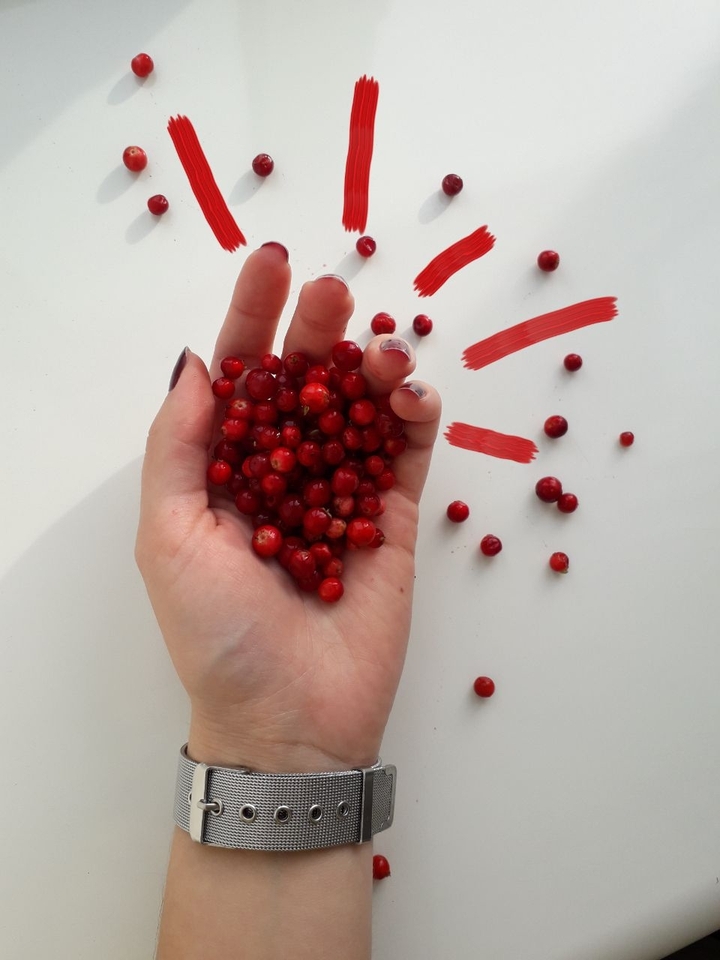 berries