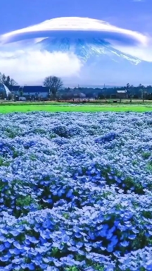 Mount Fuji