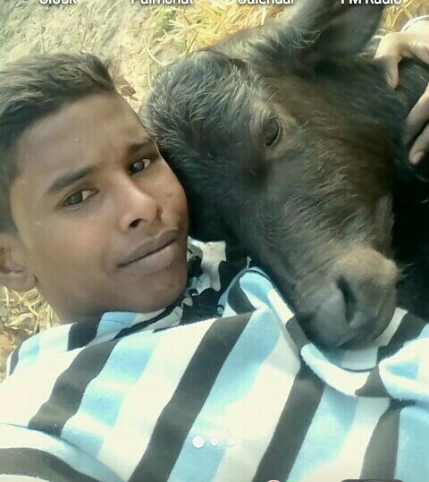kulwinder
