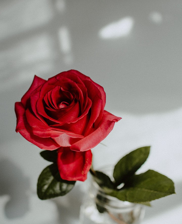 beauty