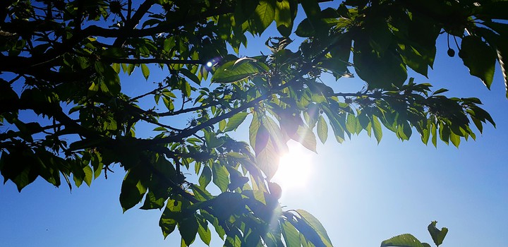 Sun