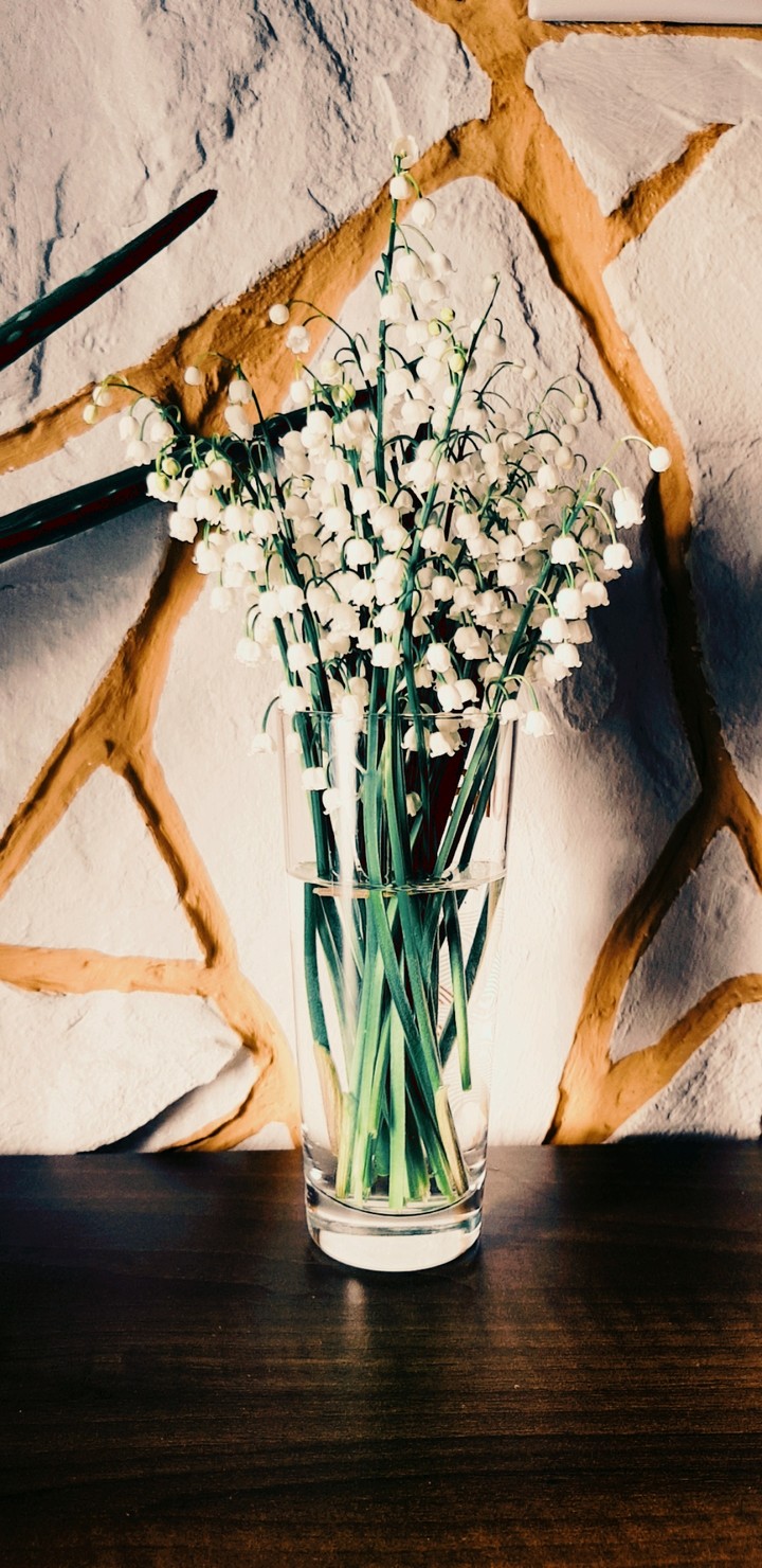Lily of the Valley