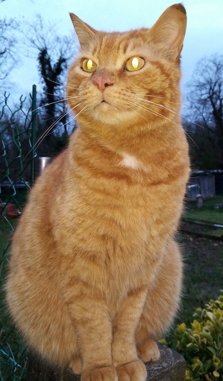 Je voiiiis.... je voiiiis ! ?