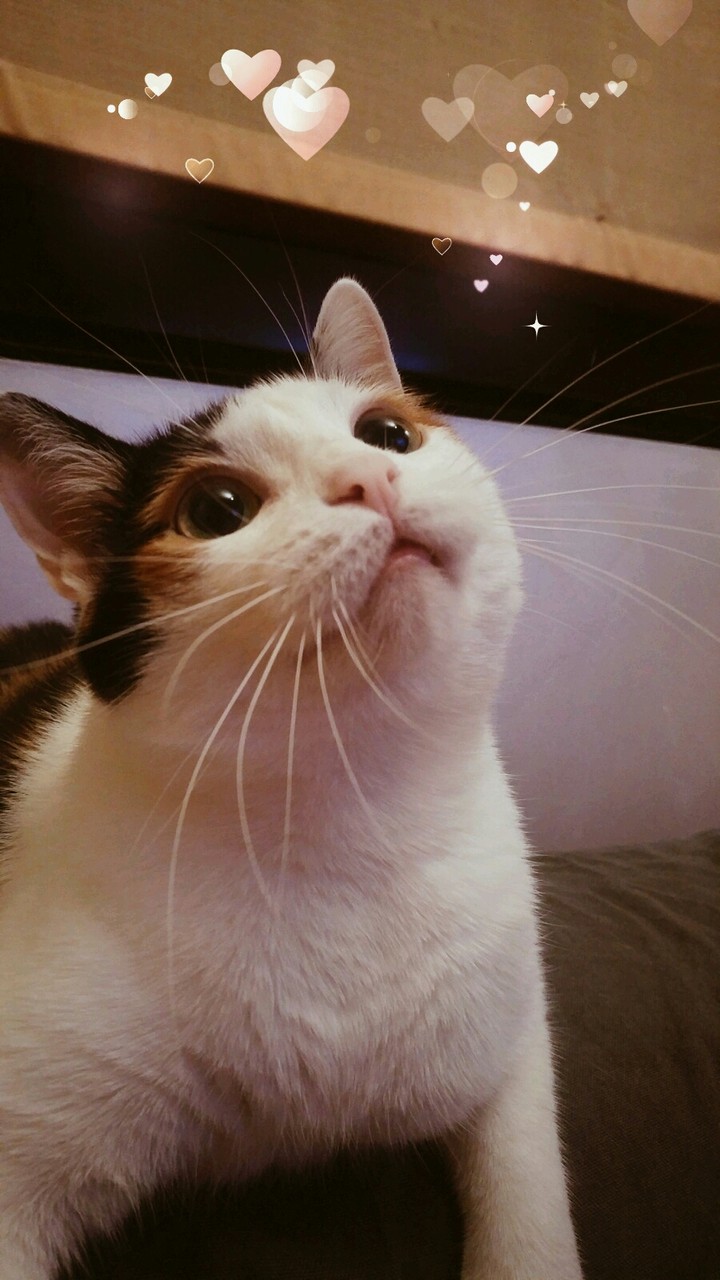 Sally