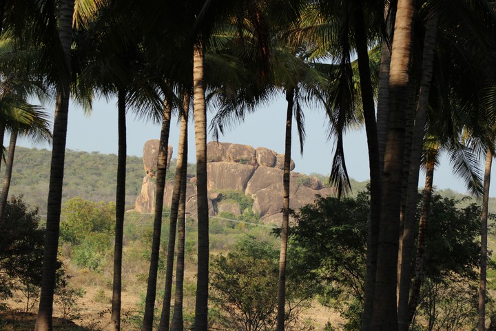 Rock View