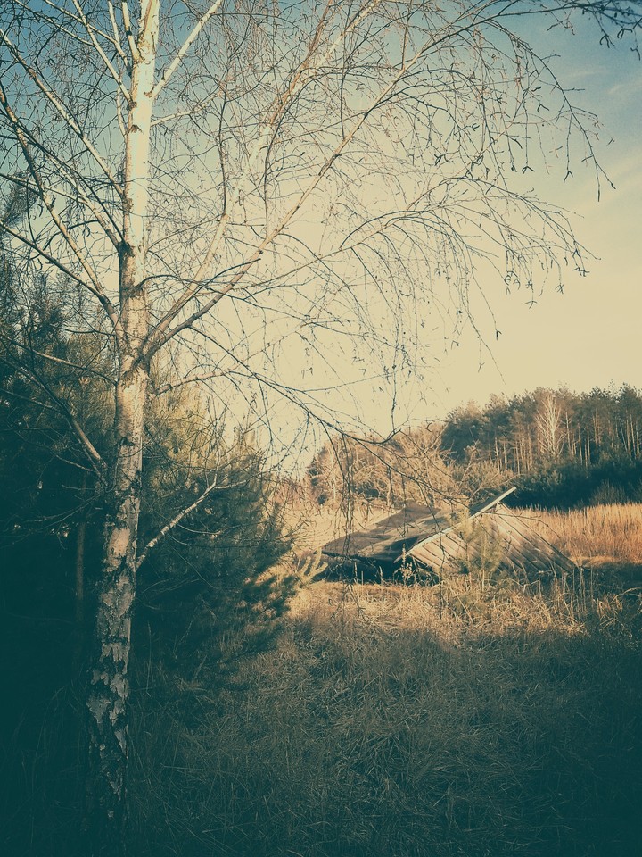 Before changes