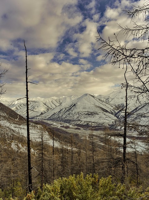 landscape