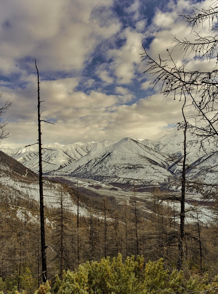 landscape
