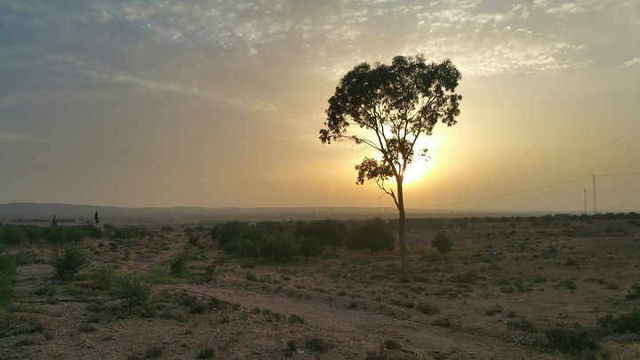 nature