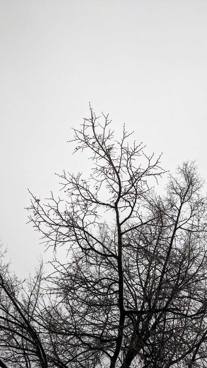 winter