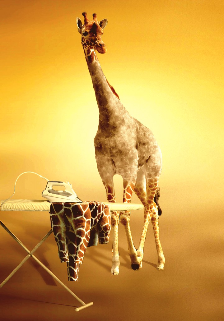 giraffe