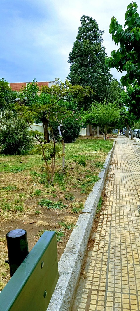 green, biome háttérképek