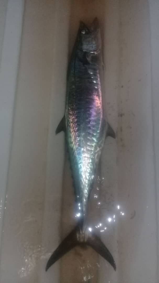 sea