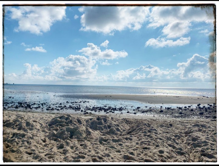 Sylt