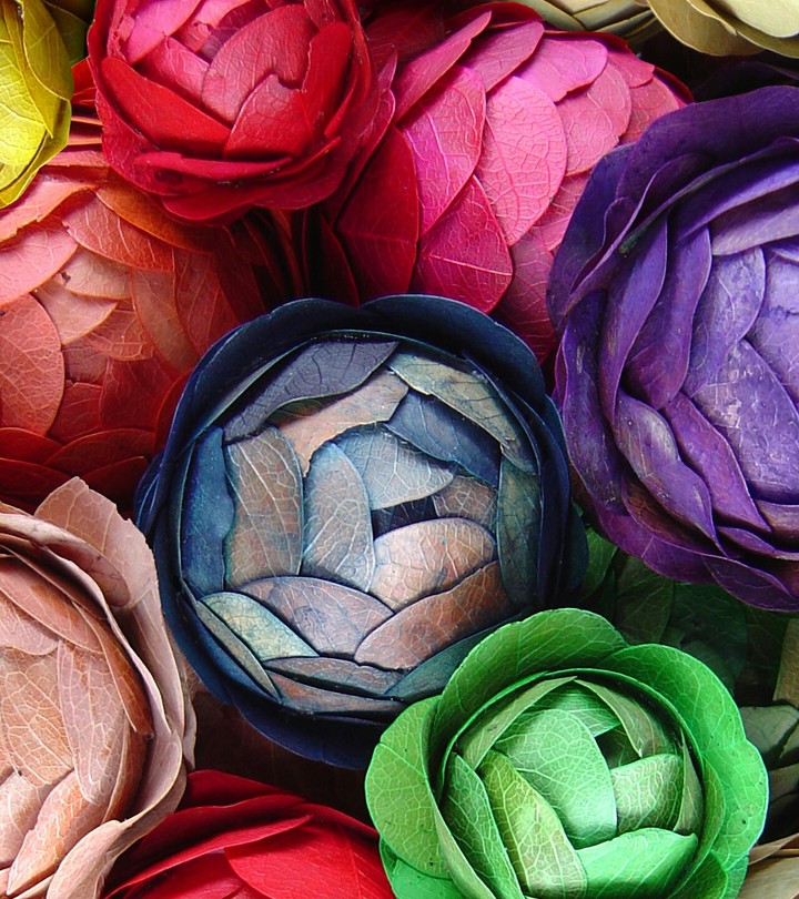 art of leaves