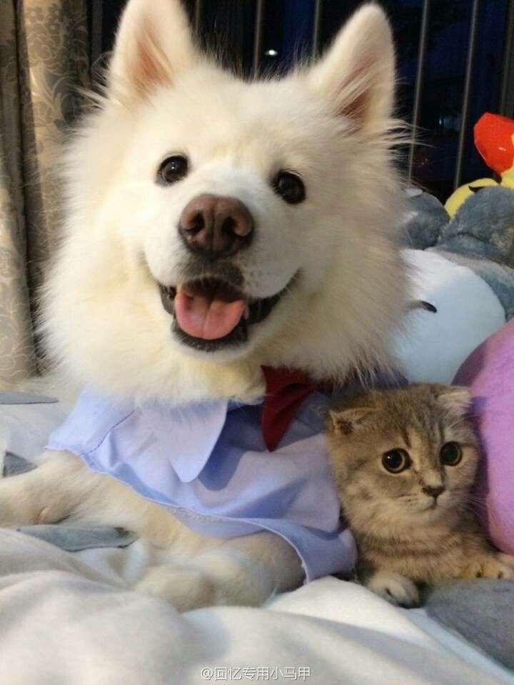 ❤️