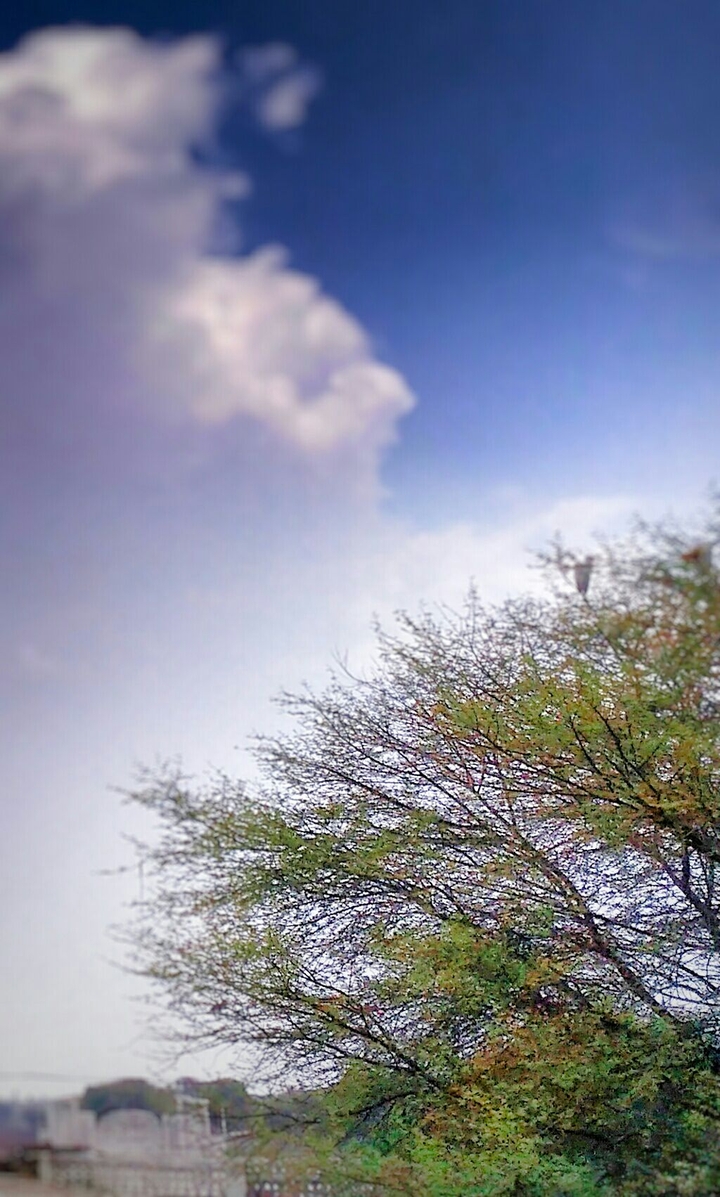 nature