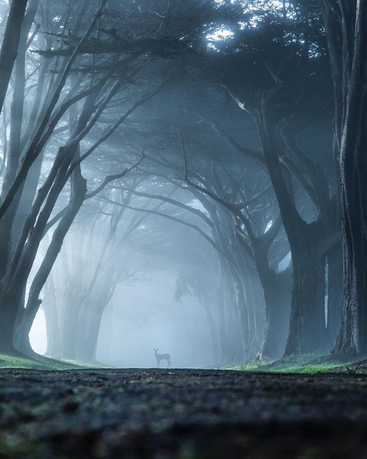 nature
