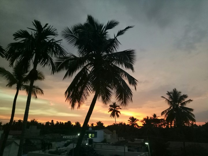 sunset love