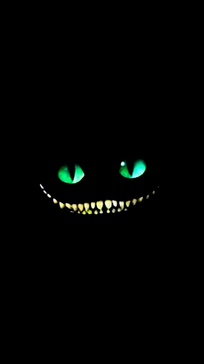 gato negro
