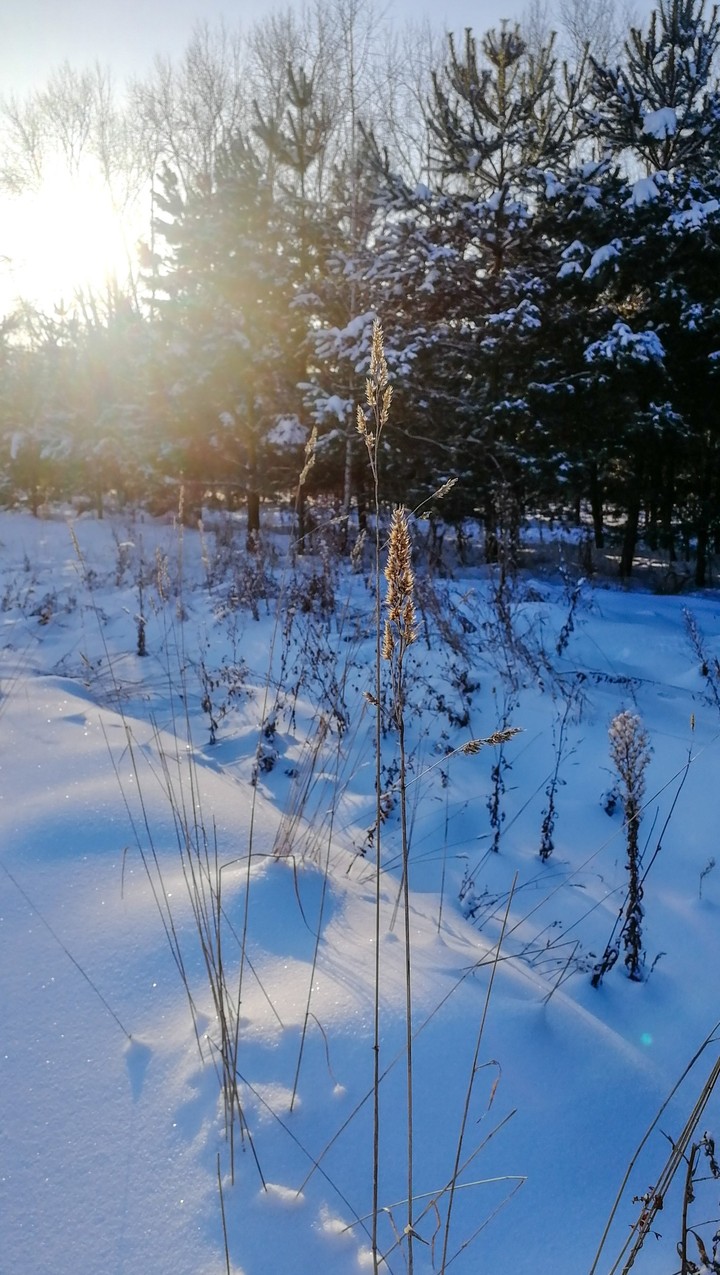 Snow