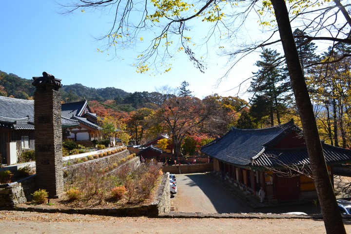 산이미지