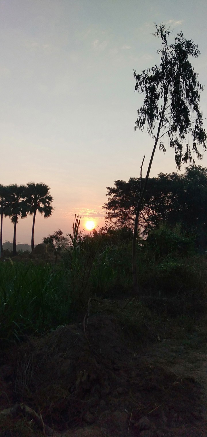 Morning time ?