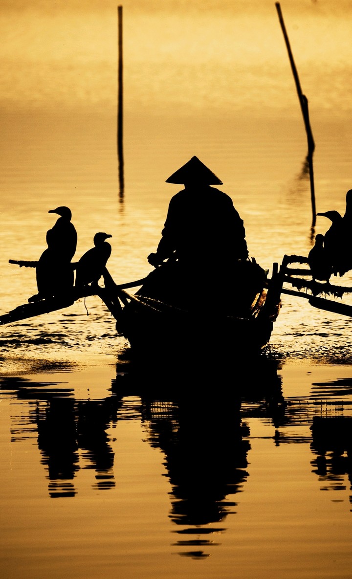 ukai cormorant fisherman