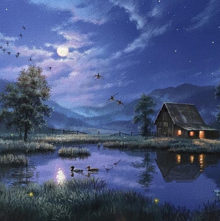 Night