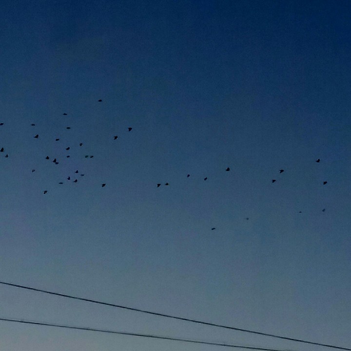 Freedom of soul
