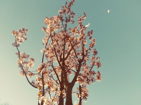 fresh calming relaxing spring vibes