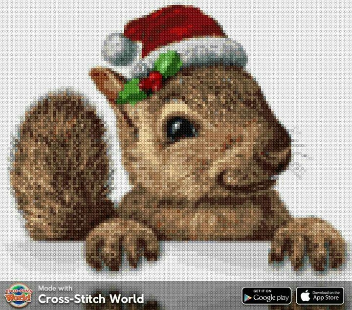 happy squirrel
